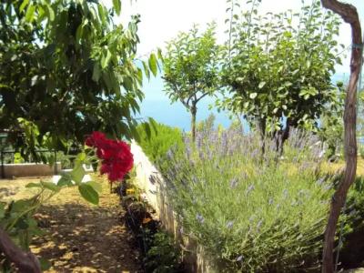 Guest House Vineyard oaza - 62