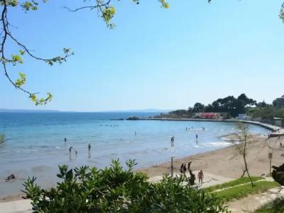 Design B&B Bacvice Arti - 16