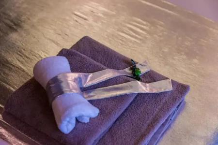 Design B&B Bacvice Arti - 56