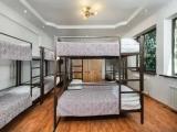 Bunk Bed in 14-Bed Male Dormitory Room