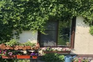 Guest house Dalnyaya 11, Kostroma