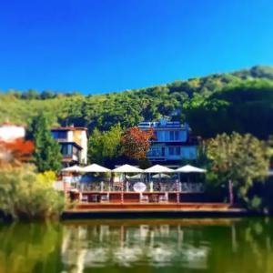 Agva Riverangel - Adults Only - 12