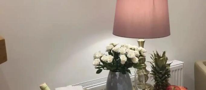 Agva Riverangel - Adults Only - 36