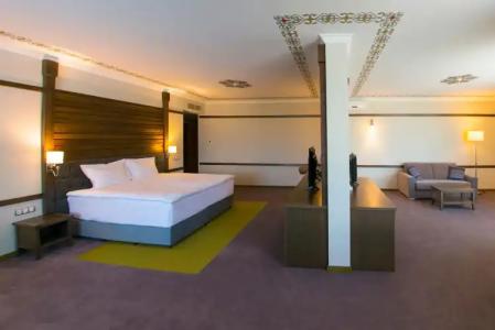 Hot Springs Medical and SPA - 4