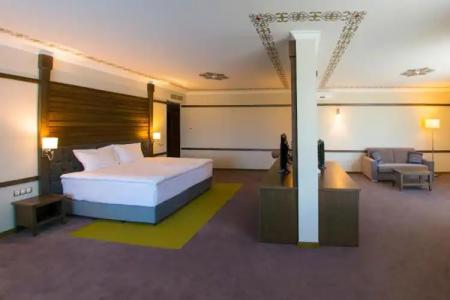 Hot Springs Medical and SPA - 54