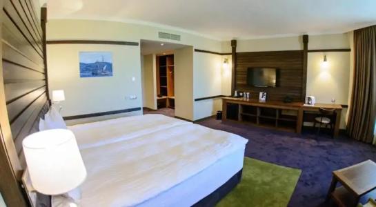 Hot Springs Medical and SPA - 43