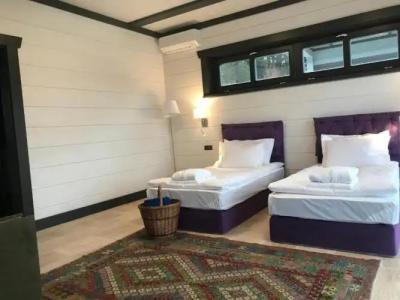 Hot Springs Medical and SPA - 65