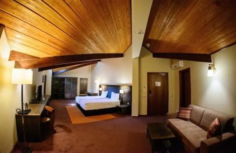 Hot Springs Medical and SPA - 62