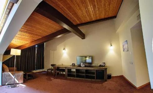 Hot Springs Medical and SPA - 14