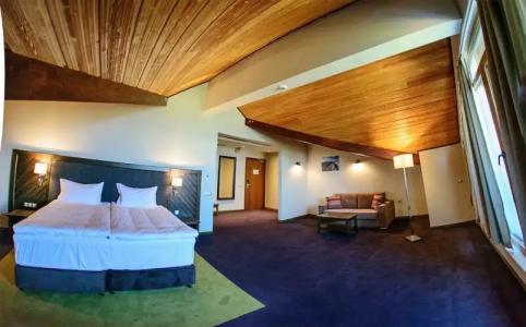 Hot Springs Medical and SPA - 64