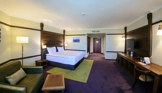 Hot Springs Medical and SPA - 47