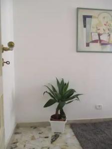 Maison Ortigia - 137