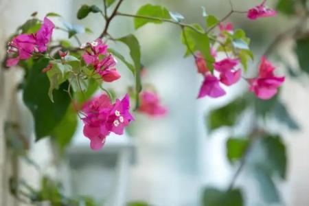 Maison Ortigia - 161