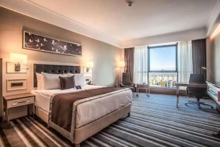 Radisson Blu Diyarbakir, Turkey - 52