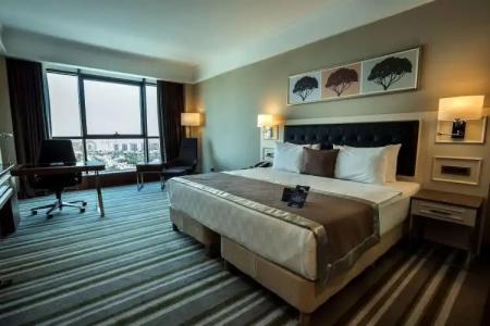 Radisson Blu Diyarbakir, Turkey - 58