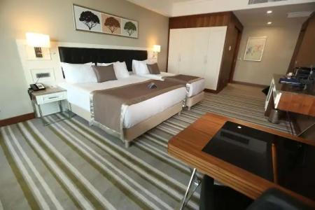 Radisson Blu Diyarbakir, Turkey - 59