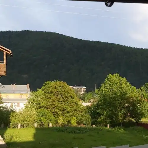 Sadyba Markevychiv ChAN BANYa - 43