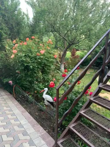 Sadyba Markevychiv ChAN BANYa - 25