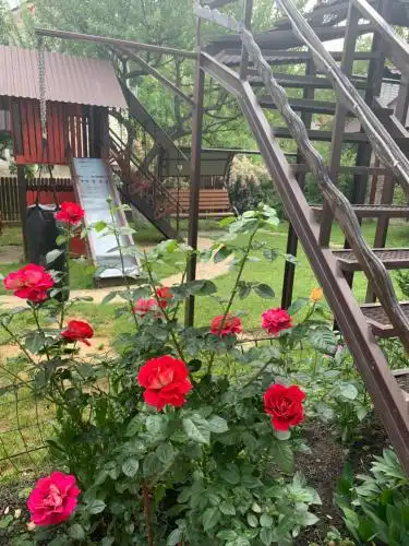 Sadyba Markevychiv ChAN BANYa - 24