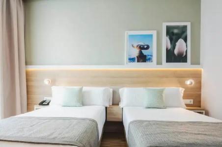 ZT The Golden Barcelona - 4