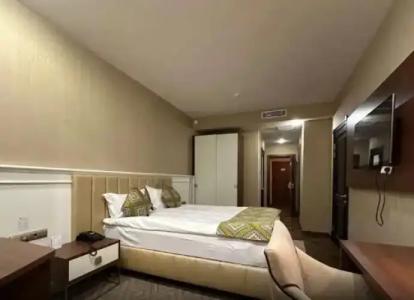 Best Western Plus - 78