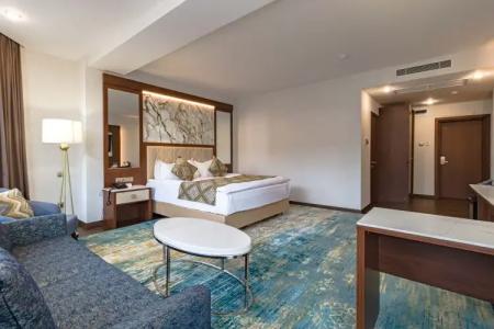 Best Western Plus - 65