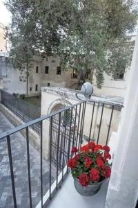 Palazzo Sant'Anna - 52