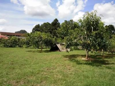 Harum Manis Country House - 7