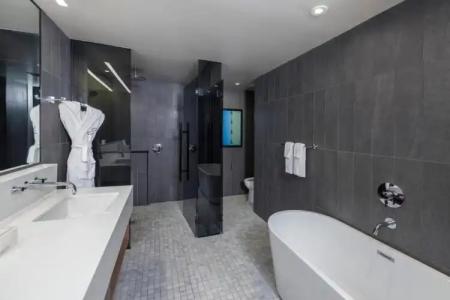 The Statler Dallas Curio Collection By Hilton - 85