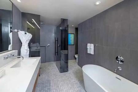 The Statler Dallas Curio Collection By Hilton - 114