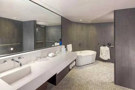 The Statler Dallas Curio Collection By Hilton - 65