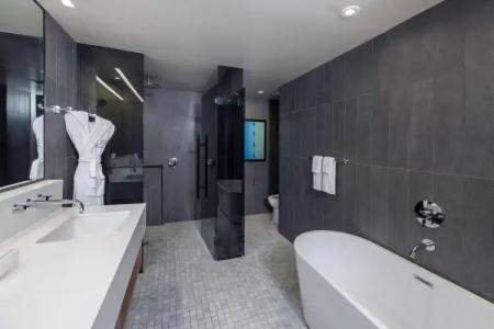 The Statler Dallas Curio Collection By Hilton - 37