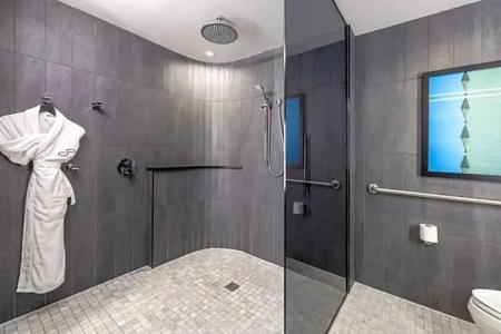 The Statler Dallas Curio Collection By Hilton - 113