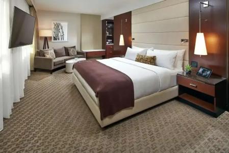 The Statler Dallas Curio Collection By Hilton - 42