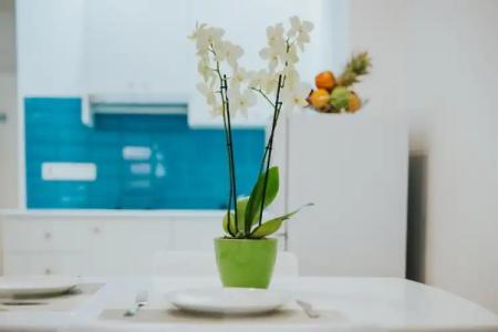 Stephanie Studios - 2