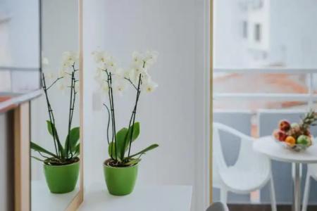 Stephanie Studios - 20