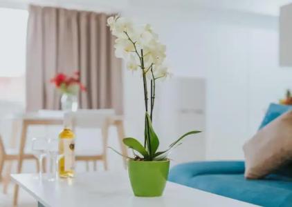 Stephanie Studios - 56