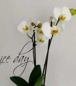 Gästehaus der Abtei Sayn Mini-hotel - 19