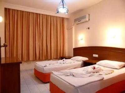 Elegant Baronessa Apart - 60