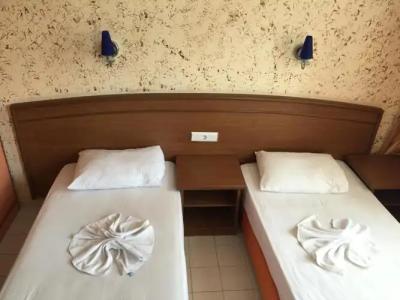 Elegant Baronessa Apart - 58