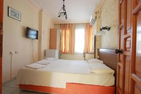 Elegant Baronessa Apart - 52