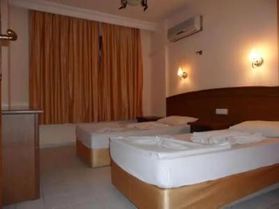 Elegant Baronessa Apart - 56