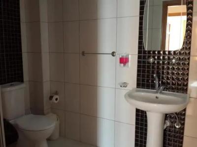 Elegant Baronessa Apart - 61