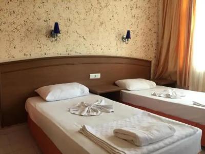 Elegant Baronessa Apart - 63