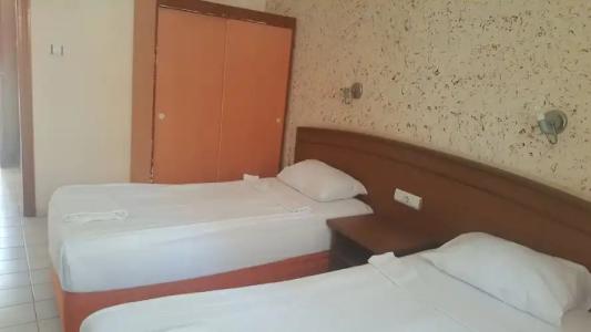 Elegant Baronessa Apart - 99