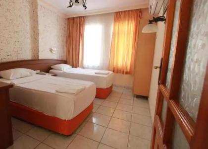 Elegant Baronessa Apart - 77