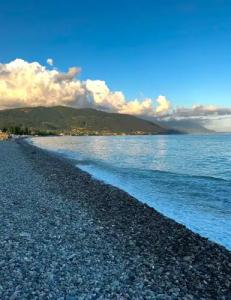 Brigantine Tourist base - 19