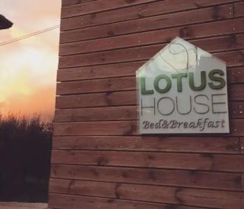 Lotus House - 14