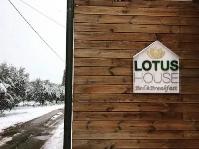 Lotus House - 0