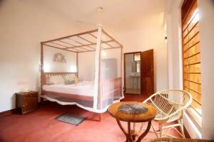 Peacock Land, Tangalle